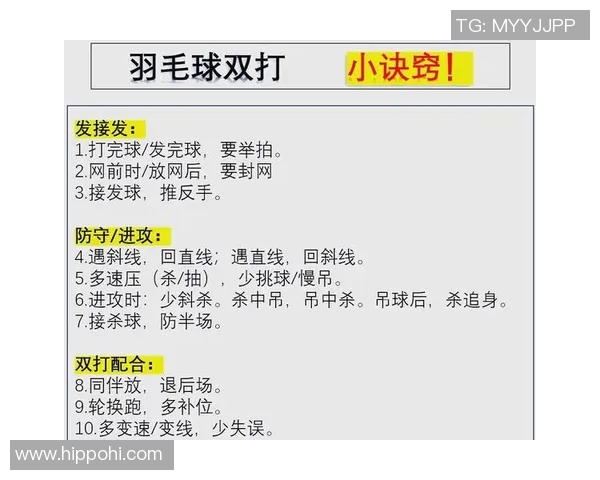 杭州羽毛球队区域防守策略分析及其在比赛中的成效与不足之处