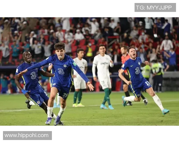 2017年埃弗顿对阵切尔西全景回顾精彩瞬间与战术分析